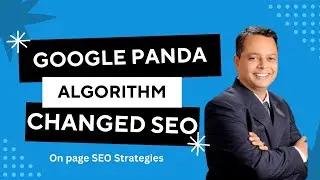 Google Panda Algorithm Update Explained: How It Changes On page SEO