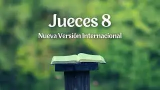 Judges 8 - New International Version | Audio Bible