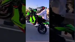 kavashaki ninga zx10r #stunt #sorts #subscribe #shortvideo #share #status #raidr