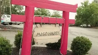 Miso Happy