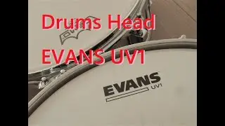 EVANS UV1 ドラムヘッド・レビュー。REMO コーテッド・アンバサダーとのサウンド比較も。AMBASSADOR COATED Comparison DEMO Review