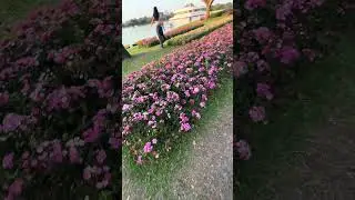 Travel to the Suan Luang Rama IX Park in Bangkok, Thailand #bangkok #thailand #travel #travelvlog