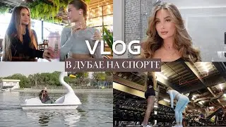 ЛАЙФХАК: КАК ХОДИТЬ БЕСПЛАТНО ПО РЕСТОРАНАМ В ДУБАЕ // ТРЕНИРУЕМСЯ В SEVEN GYM // ПАРК С КРОЛИКАМИ