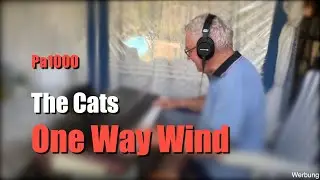 Pa1000 The Cats - 