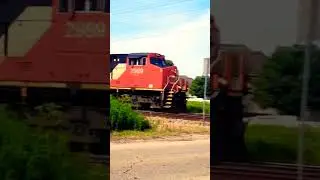 Super-Fast CN Intermodal Blasting Through Plainfield #shorts #cn
