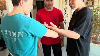 Arts martiaux internes - Qi Gong martial - Vecteur de force et flux d'énergie