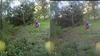 Into the Woods a SidebySide test