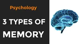 3 TYPES OF MEMORY | Basic Types of Memory