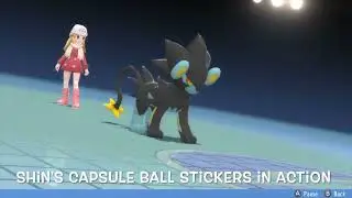 Happy birthday Shin the Luxray in Pok&eacute;mon Brilliant Diamond
