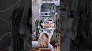 Leaf Chopping Machine 120kg/h for Fodder and Compost