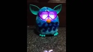 Mandarin Furby Hyper to jolly Personality