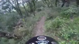 Le fenouillet dh line