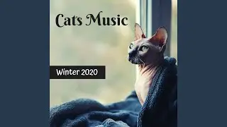 Happy Cats