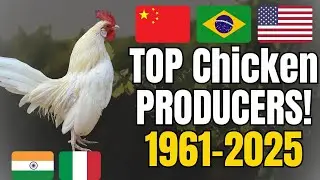 Top Chicken Producing Countries in the World (1961&ndash;2025) 🐔 | The Largest Chicken Meat Producers
