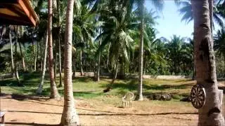 Verde Safari Beach El Nido Palawan
