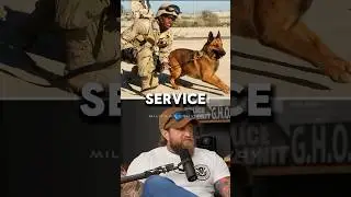 Veteran Stands Up For a Service Dog 🐕🪖🇺🇸 #military #army #podcast