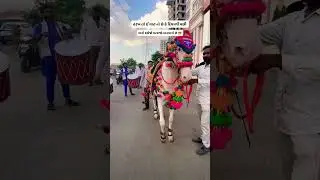 hari om ashw farm surat #trending #viral #yosho