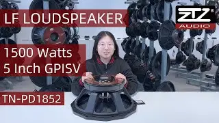 Feel the Thunder! 18-Inch Shocking Bass 🔊 TN-PD1852 Subwoofer In-Depth Review 🎶⚡