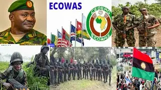 Breaking_BIAFRA TENSION: ECOWAS Reacts as Nigeria Army Admits South-East Recruitment FAILURE!