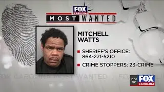 Most Wanted: Mitchell Watts