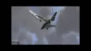 Checkertail