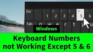 Keyboard Numbers Row Not Working Except 5 & 6 {Six Possible Solutions}