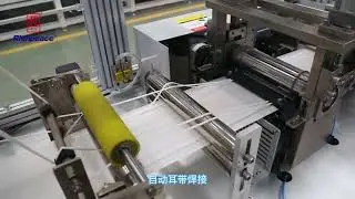 Richpeace Duckbill Mask Production Line