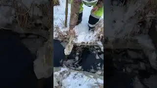 Blackfish trap at winter in Newtok Ak