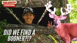 BIG BUCK FOUND!! Pre-Season Scouting 2025