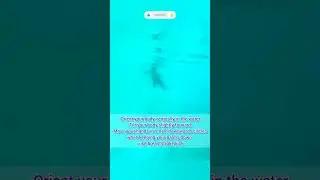 Water Treading With Forward Motion, Water Standing #shorts #swimming #swimmingtips #learnswimming