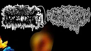 [2023] Shit Pipe / LegenxZelda - Split EP (Full Split | Mincegore / Noisecore)