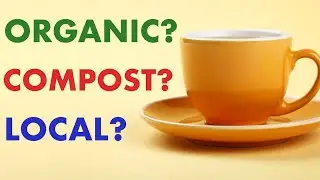 What Makes Tea Sustainable? [6 Tips For The Most Sustainable Brew]