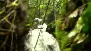 15 Adrenaline Rush eng