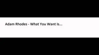 Adam Rhodes - What You Want Is...