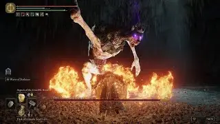 Demi Dragon vs. Demi Human [Elden Ring]