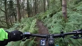 Haldon Forest Park - Full Red Trail 4k - 2024