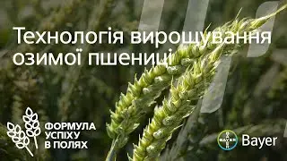 ОЗИМА ПШЕНИЦЯ. ОСІННІЙ ЗАХИСТ СХОДІВ