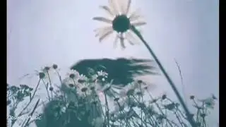 idealism - controlla
