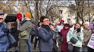 Animal rights activists spoke out against the law on animal euthanasia // 10/31/25