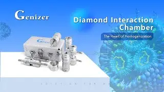 Diamond Interaction Cavity   The Core of Homogenization Technology