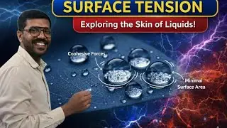 Surface Tension  #SurfaceTension #Physics #LiquidProperties #ScienceExperiment #CapillaryAction