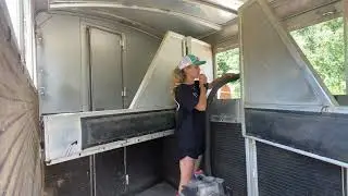 Satisfying 😯 Horse Trailer Clean-Up
