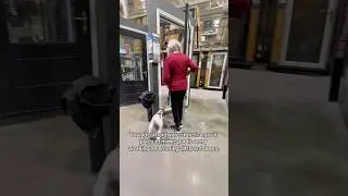 Be creative when it comes to training #dogs #dogtraining #dogobedience