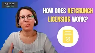 How Does NetCrunch Licensing Work?