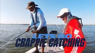 Great Day of Crappie Fishing!! #fishing #garminlivescope #crappiefishing