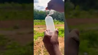 How to pack live fish? |must watch beginner's | #guppy #shorts #short