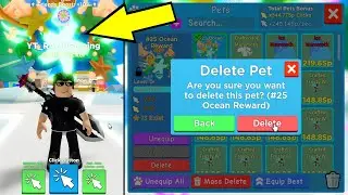 I DELETED MY TOP 25 LB PET?! Clicker Simulator (Roblox) I Deleted My Top 25 Leaderboard Pet Reward