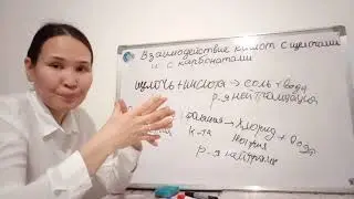 Взаимодействие кислот с щелочами и карбонатами. 7 класс