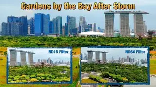 Gardens by the Bay After the Rain | Cinematic DJI Flip Drone Flight 🇸🇬