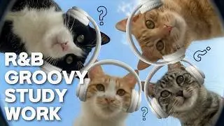 [playlist] Просто слушай, вайб отличный ✨ | Кафе Работа Учеба Groovy POP R&B HipHop Mix